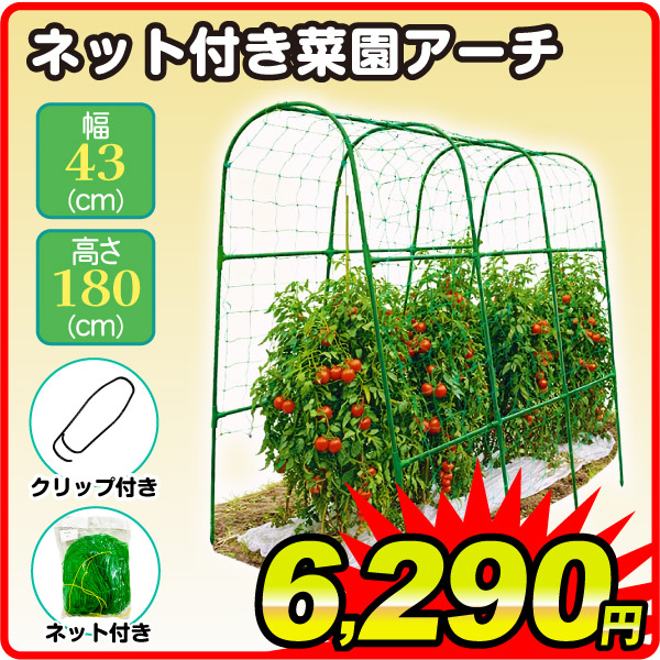 ネット付つる菜園トンネルアーチ 高さ180cm