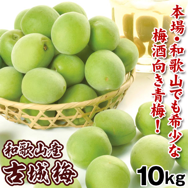 梅 10kg 古城梅 【青梅】 和歌山産 ごじろうめ 送料無料 冷蔵便 食品