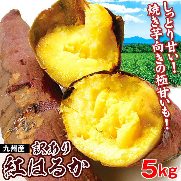さつまいも 九州産 お買得 紅はるか 5kg ご家庭用 送料無料 食品