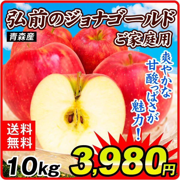りんご 10kg ご家庭用 弘前のジョナゴールド 衝撃特価 青森産 送料無料 食品
