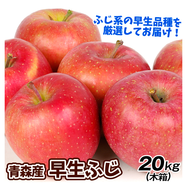 りんご 20kg 早生ふじ 木箱 青森産 送料無料 食品 （ただいま出荷中）