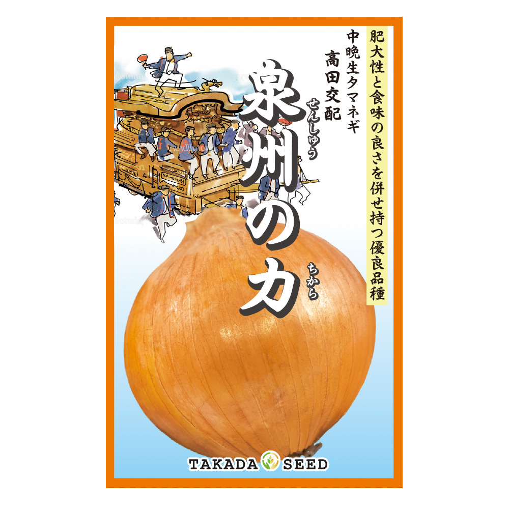種 野菜たね タマネギ （中晩生）F1泉州の力 1袋（3g/約6ml） /送料グループ【15ｱ】