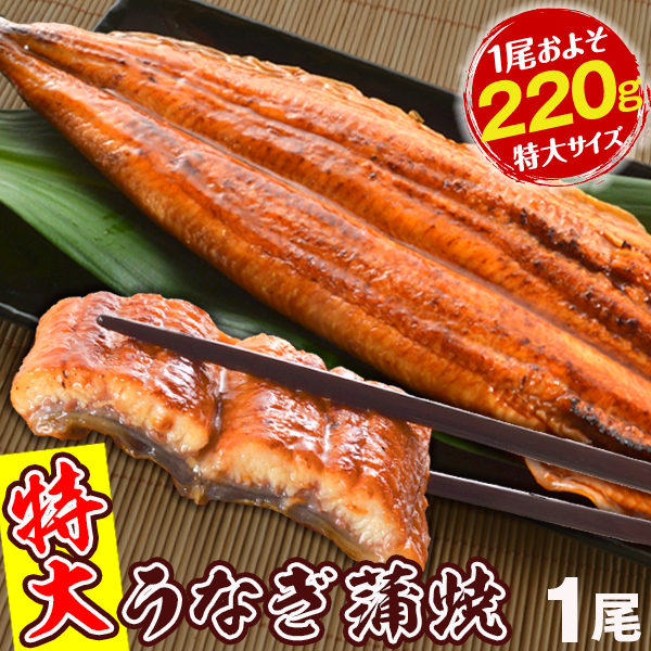 うなぎ 蒲焼 【7/31までのご注文で8/5までにお届け】一本物 特大 約220g 1尾1組 ニホンウナギ 中国産【有頭・無頭をお選びください】ご家庭用 冷凍 国華園