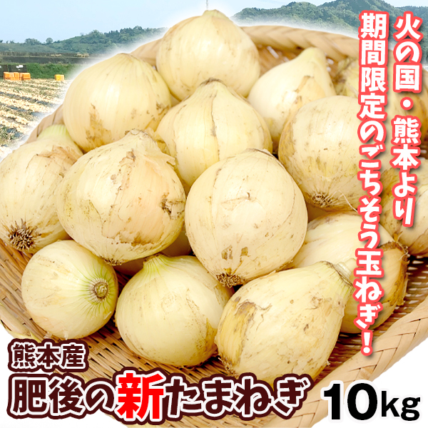 たまねぎ 熊本産 肥後の新たまねぎ 10kg ご家庭用 送料無料 食品