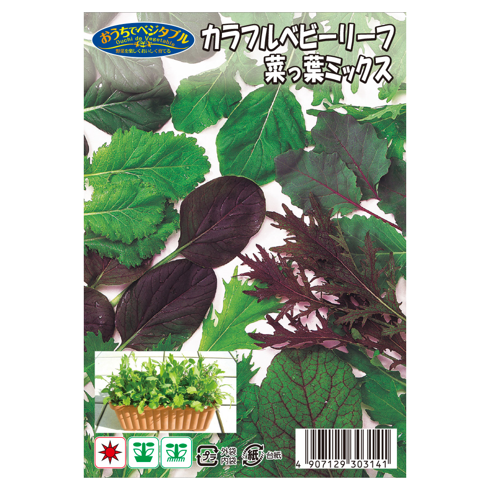 種 野菜たね 菜類 ベビーリーフ 菜っ葉ミックス 1袋（20ml） /送料グループ【15ｱ】