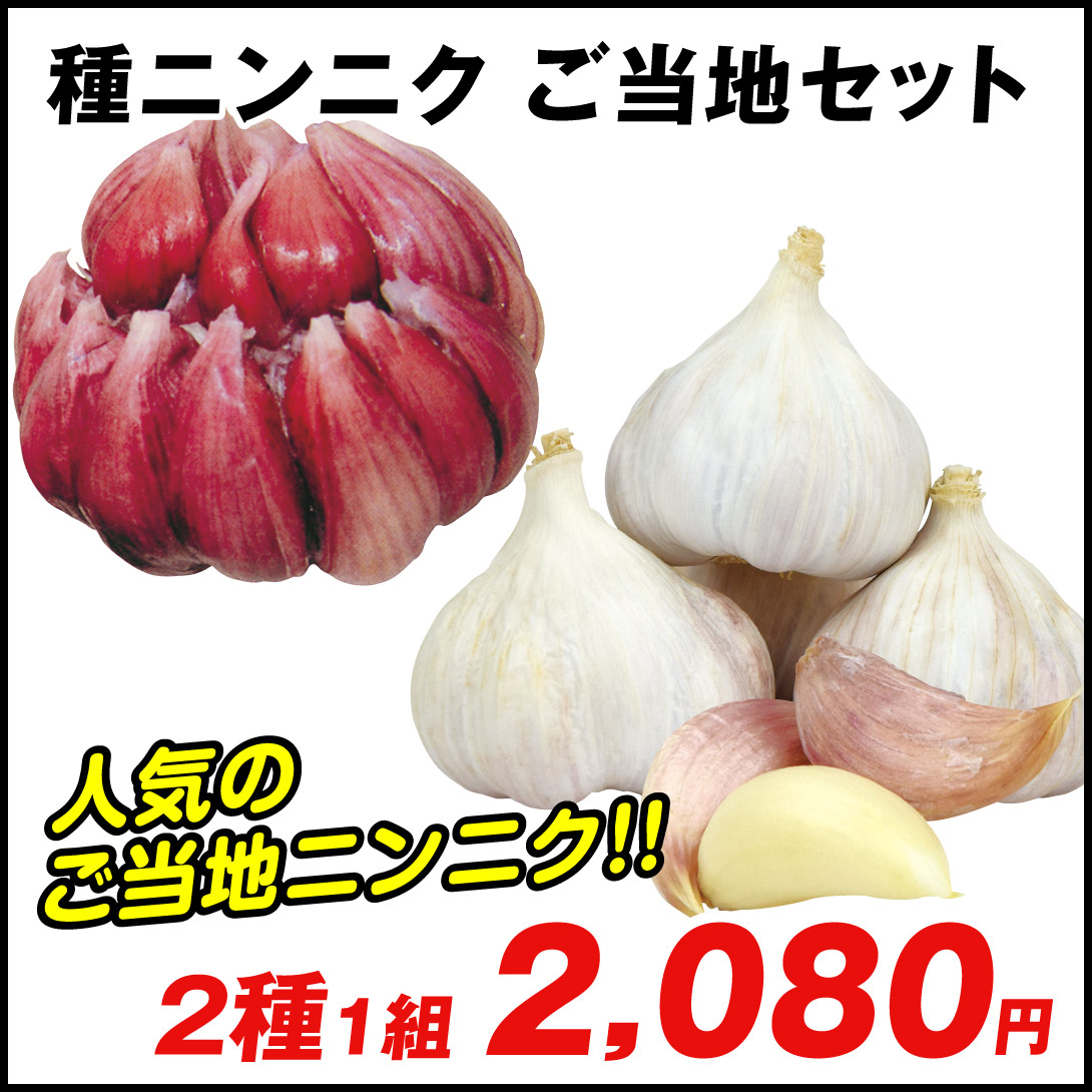 ニンニク種球 ご当地ニンニクセット 2種1組