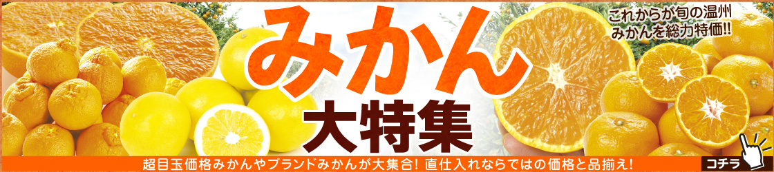みかん特集