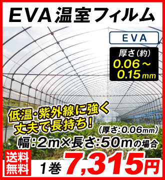 EVAフィルム