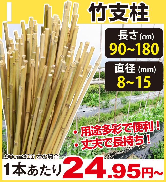 天然竹支柱