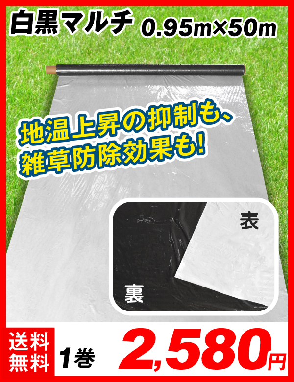 白黒マルチ