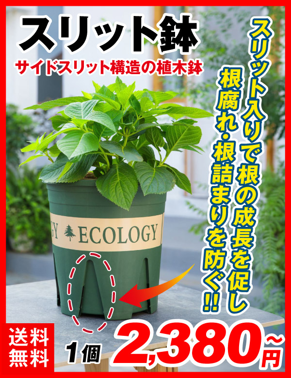 スリット鉢