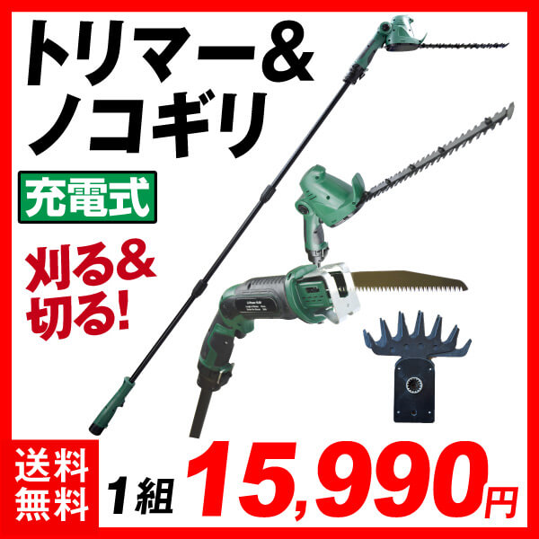 ざく切り