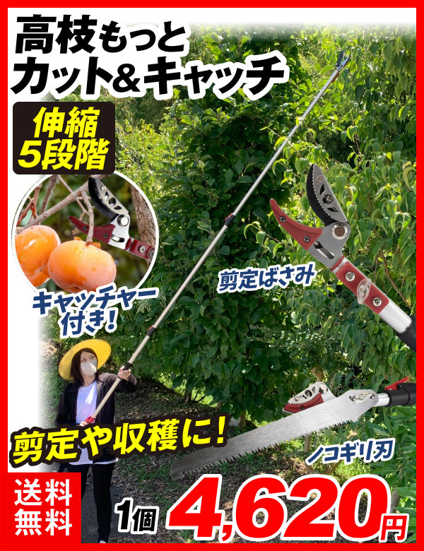 高枝カット＆キャッチ