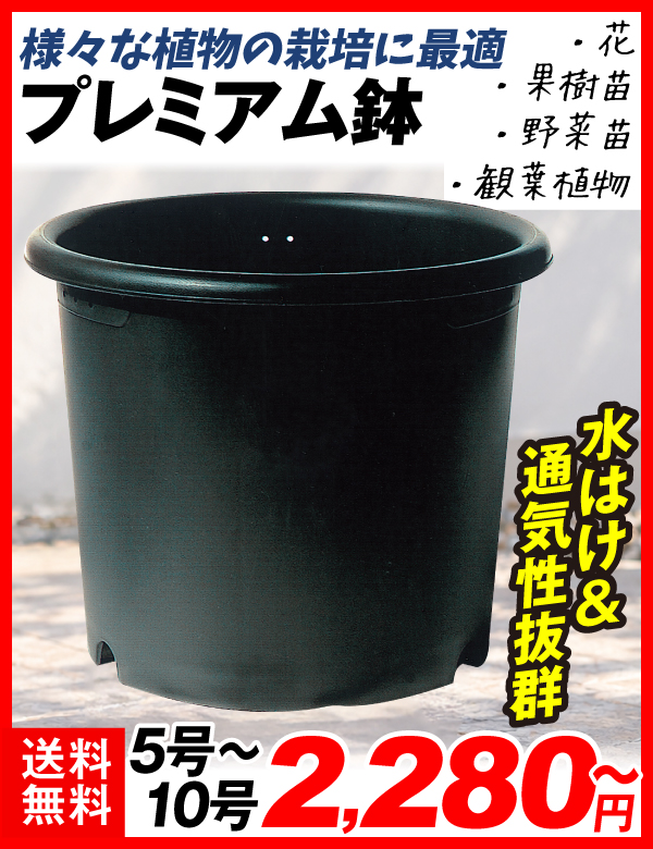 プレミアム鉢