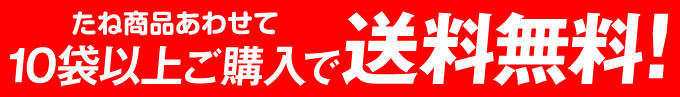 野菜たね・10袋以上で送料無料