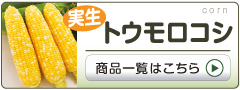 ゴーヤ