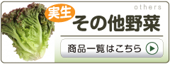 その他野菜