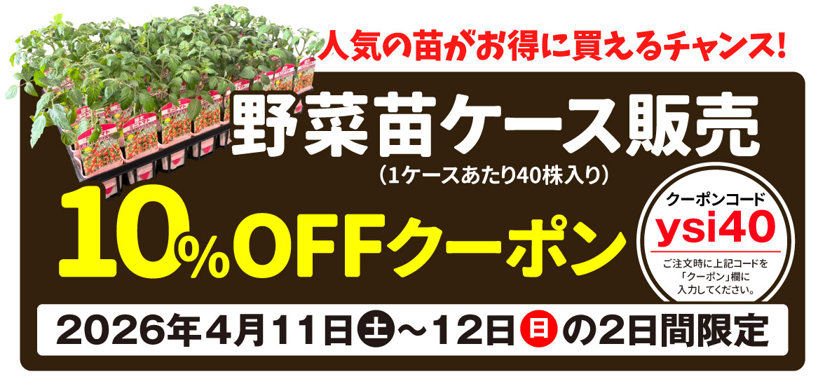 野菜苗ケース販売クーポン
