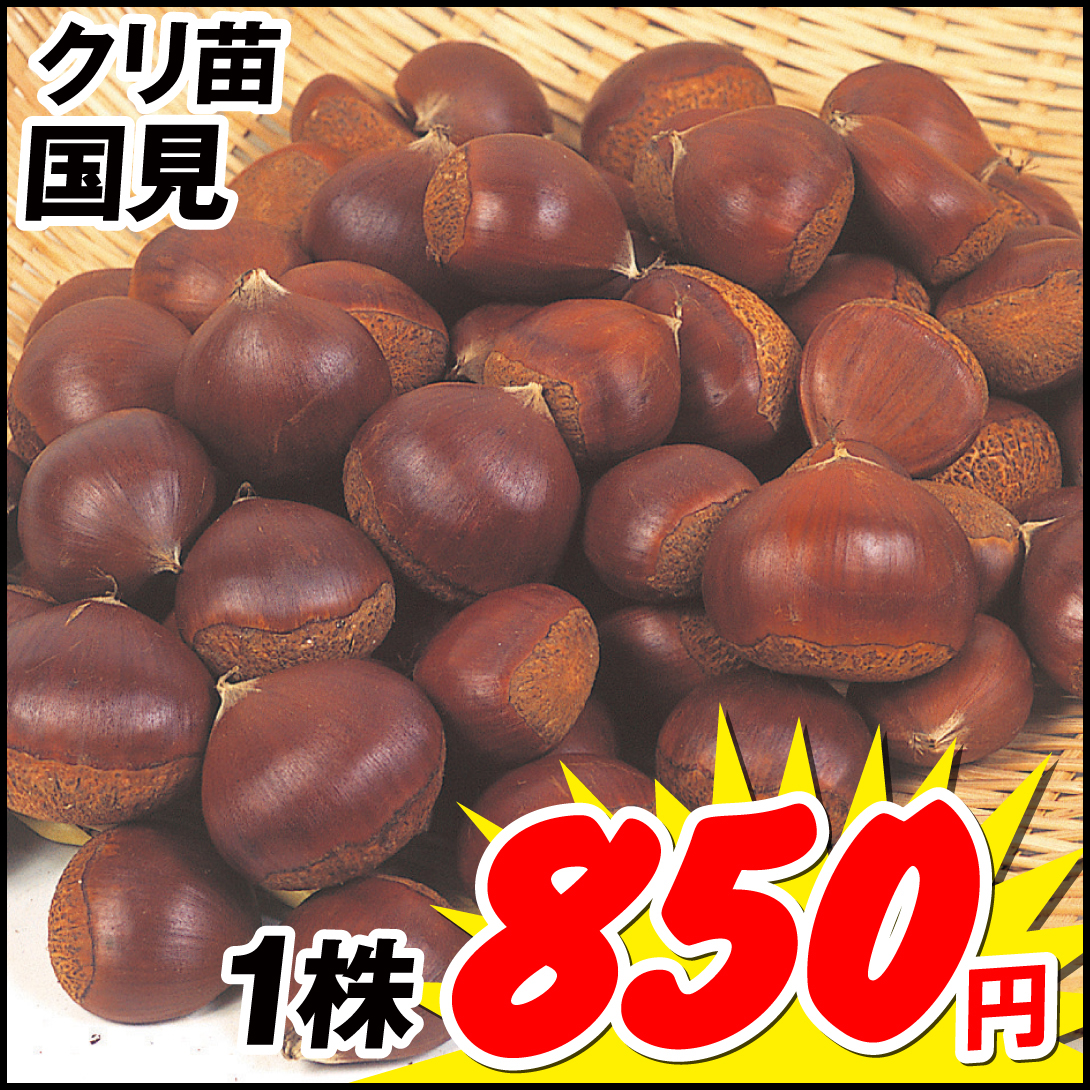 国見