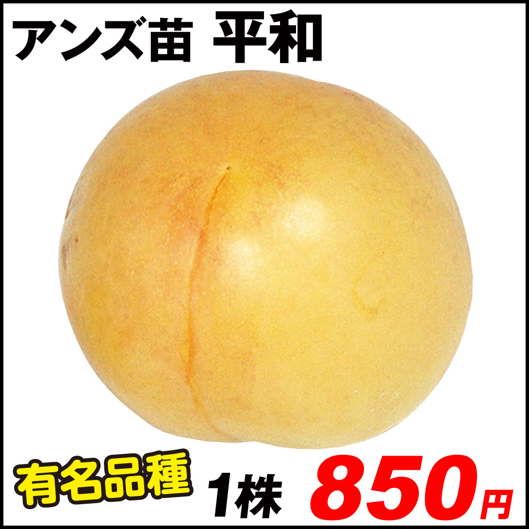 平和 激安アンズ