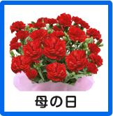 母の日