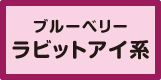 ラビットアイ系