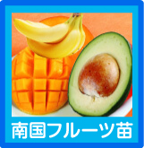 南国