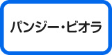 パンジー・ビオラ