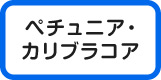 ペチュニア・カリブラコア