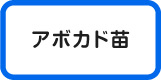 アボカド