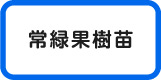 常緑