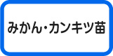 カンキツ