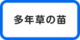 多年草