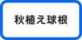 秋植え