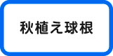 秋植え球根