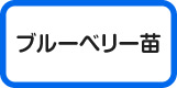ブルーベリー