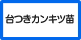 台つき