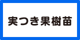 実つき果樹苗