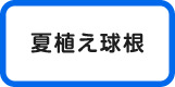 夏植え
