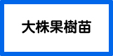 大株果樹苗