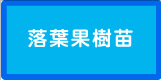 落葉