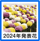 新花