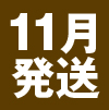 11月