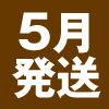 5月