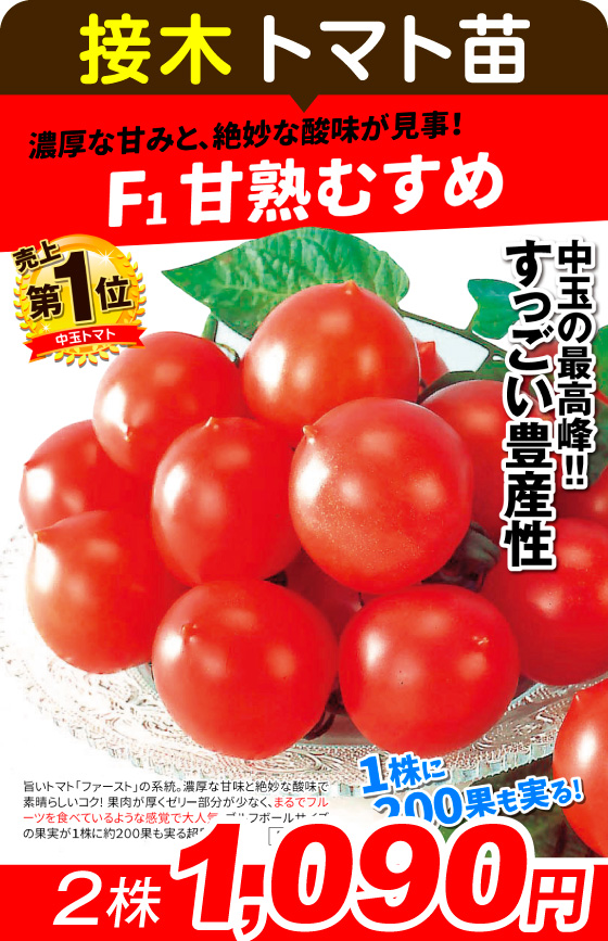 国華園オンラインショップ / 野菜苗（接木）