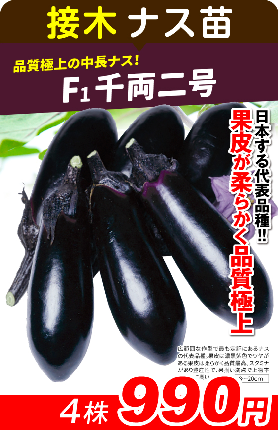 国華園オンラインショップ / 野菜苗（接木）