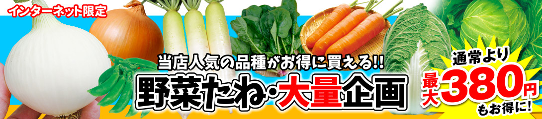 野菜たね・大量企画