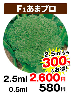 あまブロ