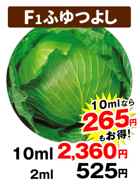ふゆつよし