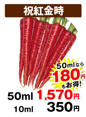 祝紅金時